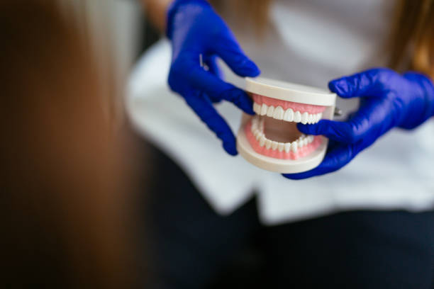 Best Dental Fillings (Composite and Amalgam)  in Piney Mountain, VA